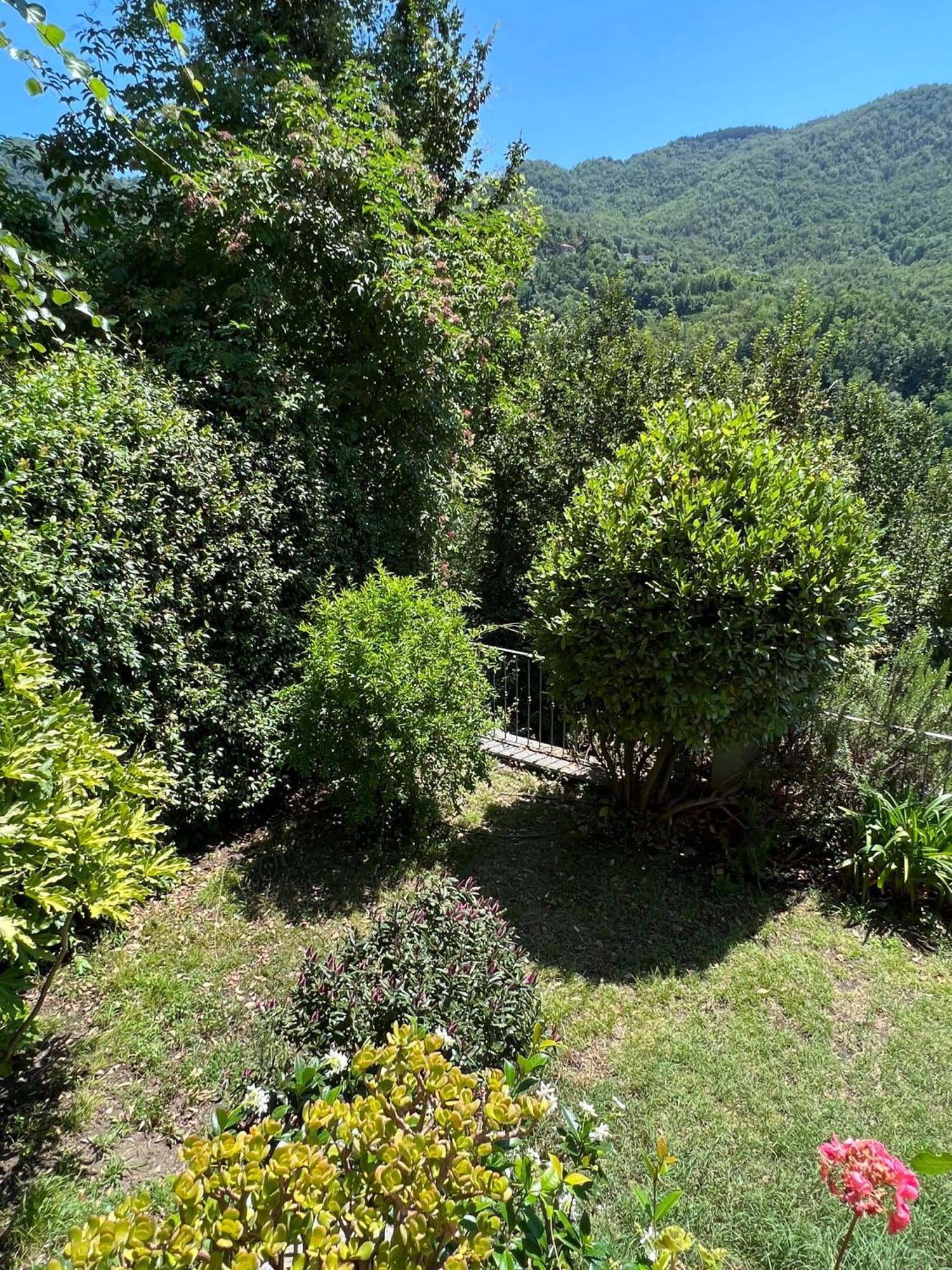 Casa Boru - A Beautiful Fully Restored Spacious House With Fantastic Views Calice al Cornoviglio Kültér fotó